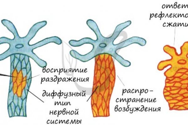 Как подключиться к даркнету